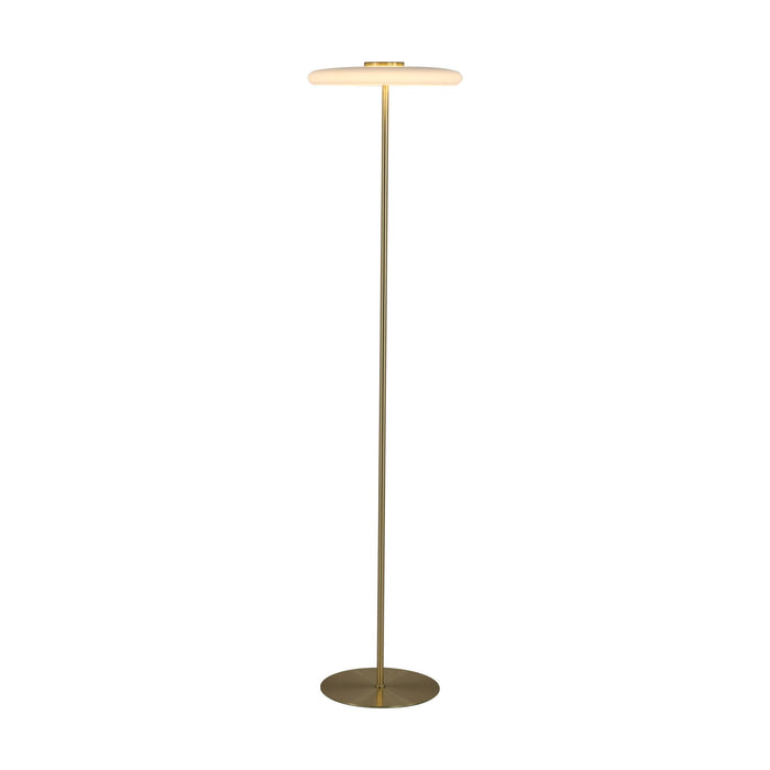 Record satin brass floor lamp lit with a flat opal disc diffuser on a slim stem