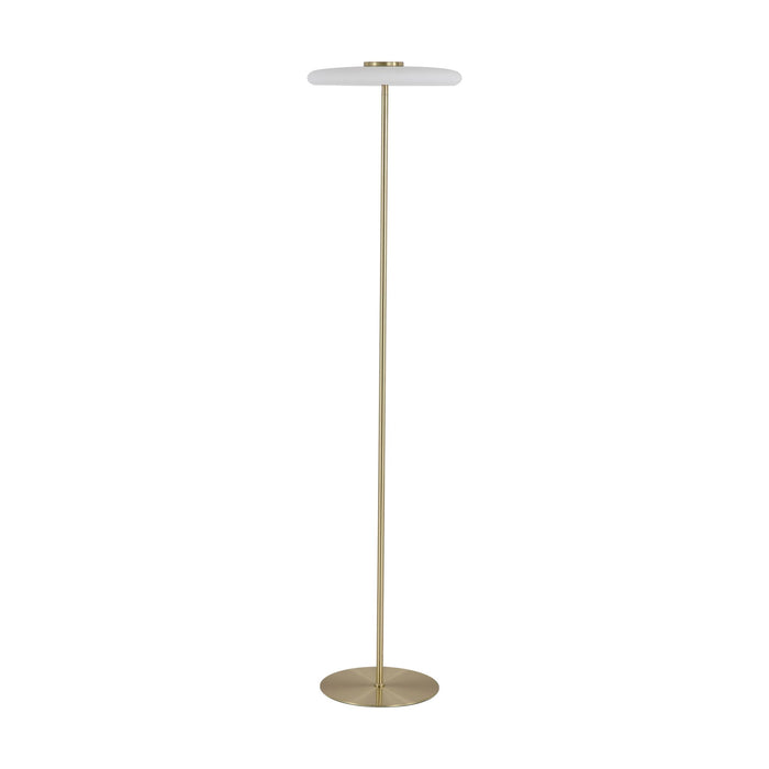 Record satin brass floor lamp switched off with flat disc shade on a white studio background