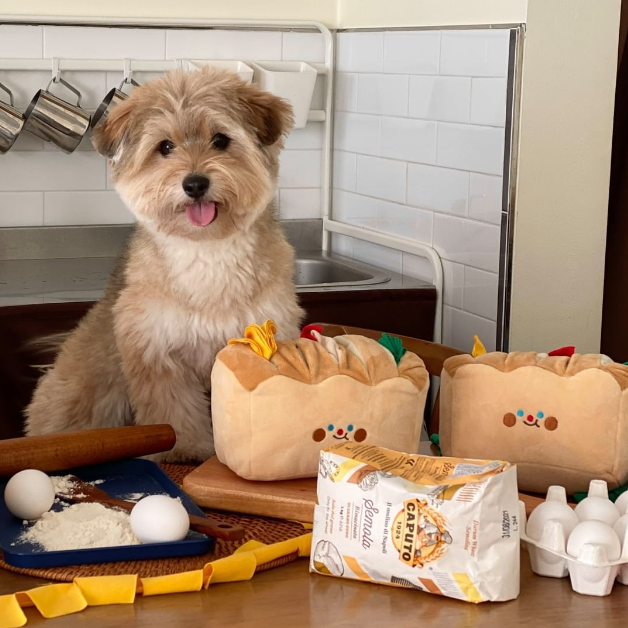 Sandwich Loaf Snuffle Toy