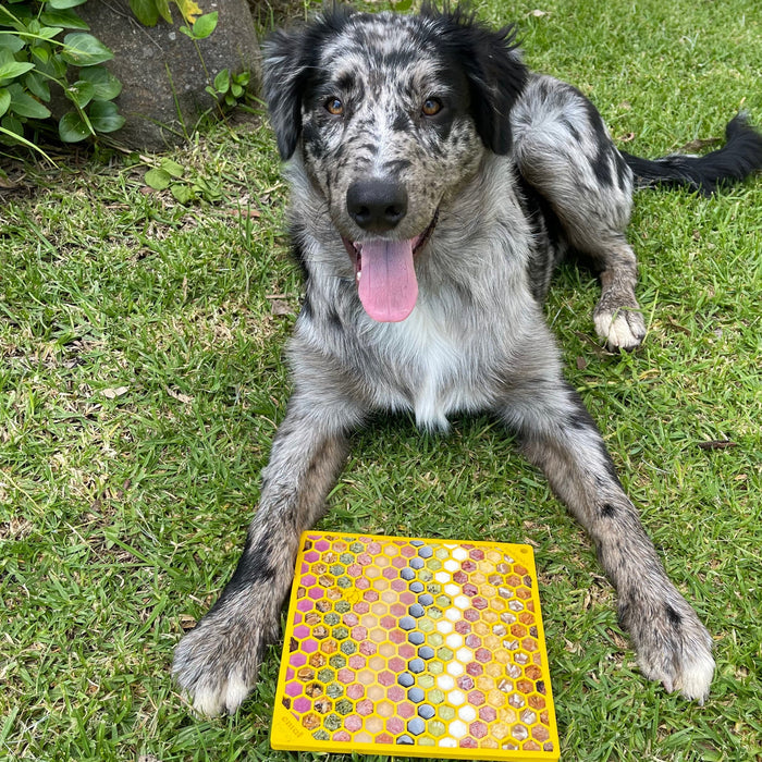 SodaPup Honeycomb eMat Enrichment Lick Mat