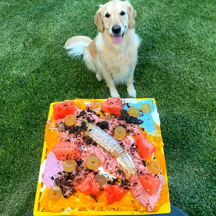 SodaPup Honeycomb eMat Enrichment Lick Mat