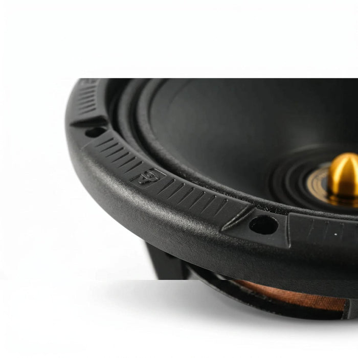 Cerwin Vega-Stroker Pro Classic CVMPCL10-10" (25cm) Tiefmitteltöner-masori-kaufen