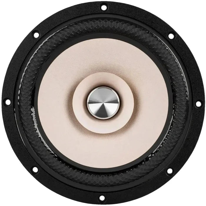 Tang Band-W8-2145-8" (20cm) Tiefmitteltöner-masori-kaufen