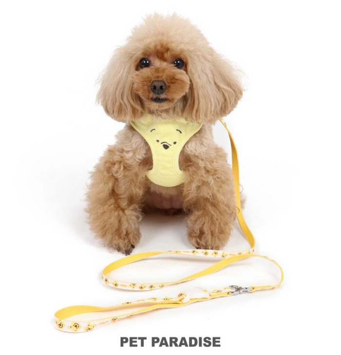 Winnie the Pooh Harness Lead