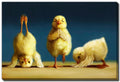 Yoga Chicks Canvas Wall Art