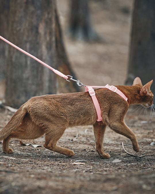 Zooland Exploration Harness&Leash Set